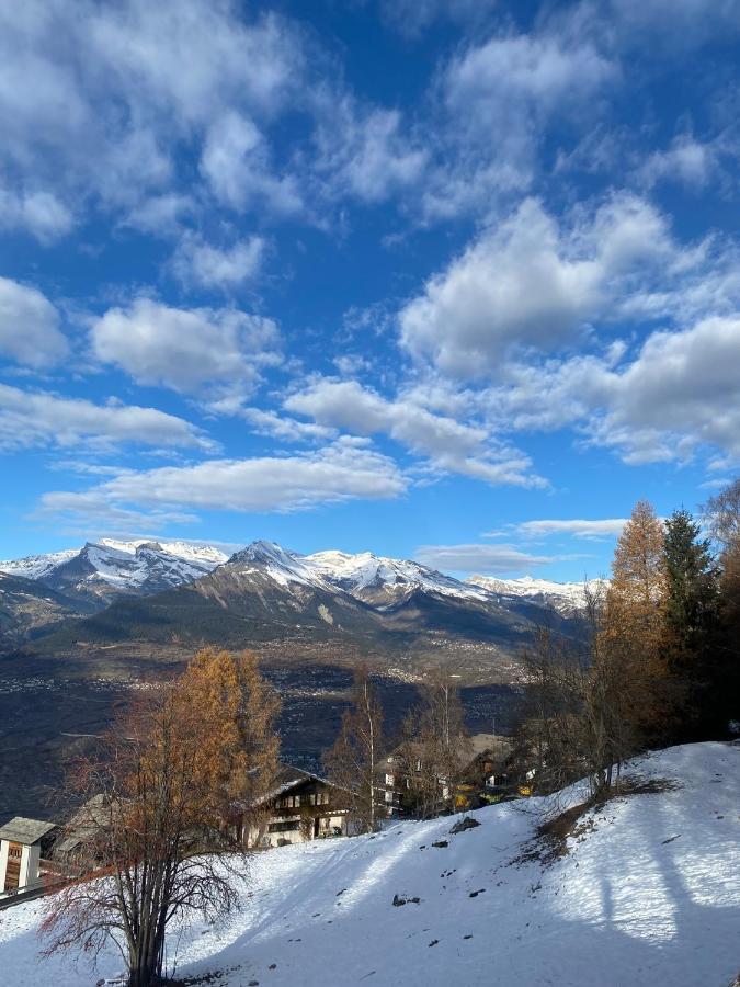 Alpin Suisse Chalet *