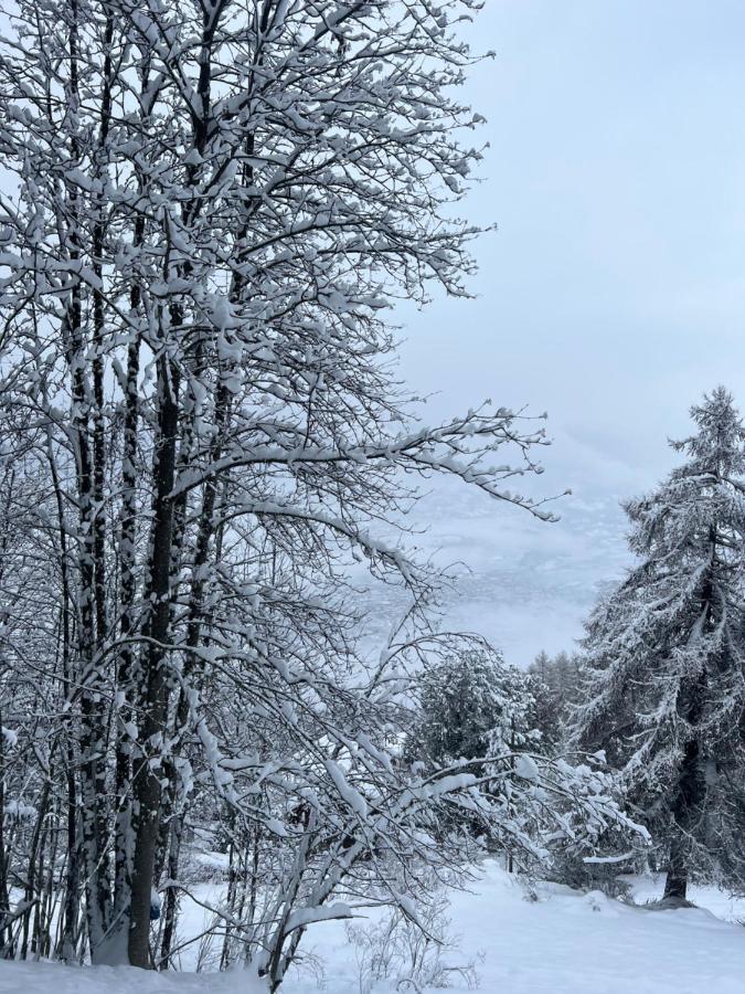 Alpin Suisse Chalet Veysonnaz
